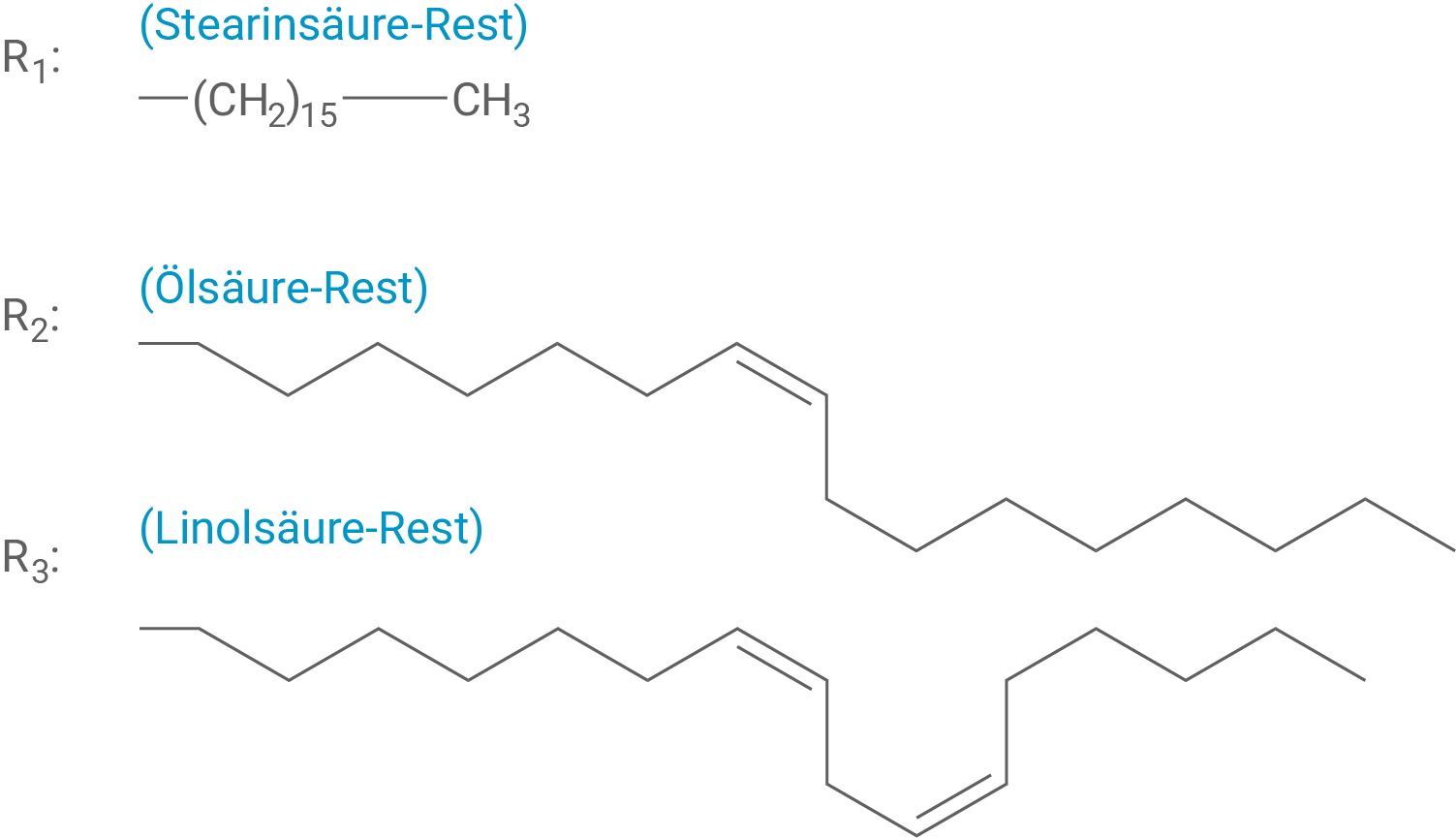 Drei Strukturformeln von Fettsäureresten: R1 Stearinsäure, R2 Ölsäure, R3 Linolsäure.